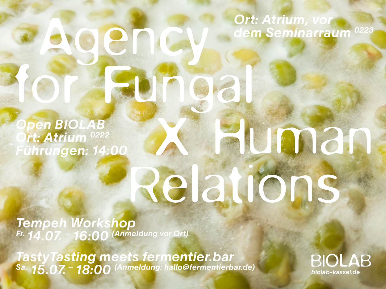 Agency for Fungal X Human Relations